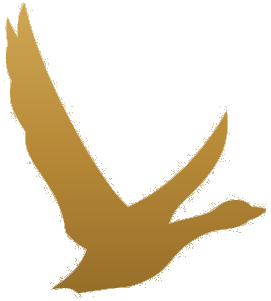 Grey Goose