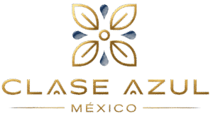Clase Azul
